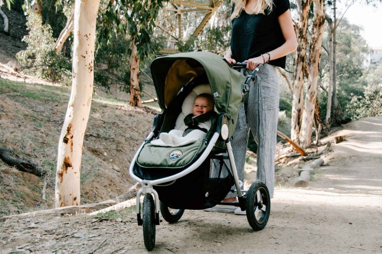 Bumbleride Organic Cotton Infant Insert