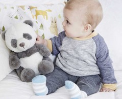 Cloud b Peaceful Panda