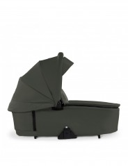 Dark Olive