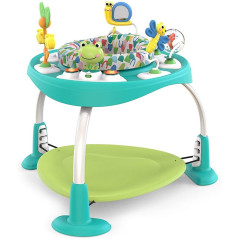     21 BRIGHT STARTS Bounce Baby Playful Pond