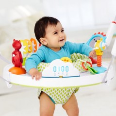   Skip Hop Explore & More