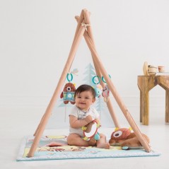   Skip Hop Tipi