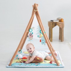   Skip Hop Tipi