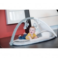   Bo Jungle B-Play Gym Grey Apple