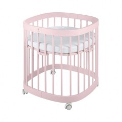 Tweeto 71  Rose