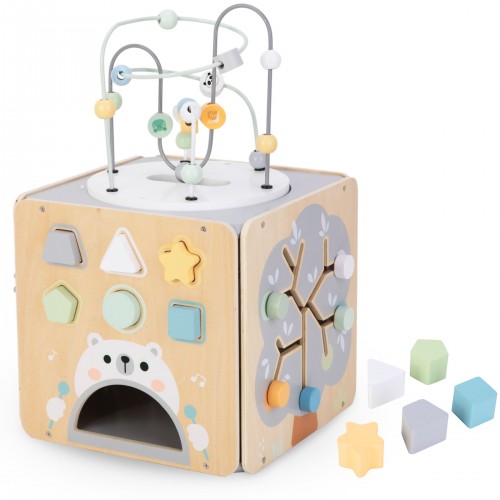 MAM119 ACTIVITY CUBE