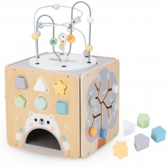 MAM119 ACTIVITY CUBE