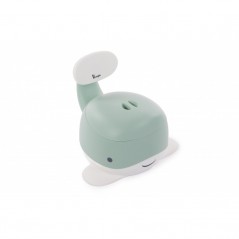 pastel Blue mint