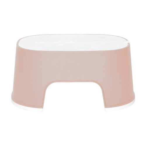 Pale Pink 454109
