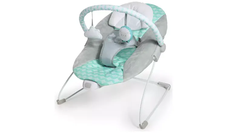 Ingenuity Bouncity Bounce Ity Goji