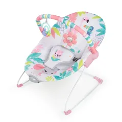 - BRIGHT STARTS Flamingo Vibes