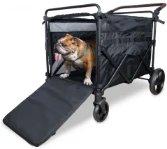      Wonderfold PXL  
