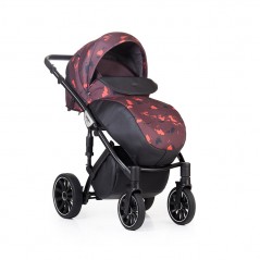  21 Anex Sport 2017 
