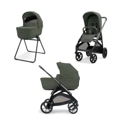 Ivy Green - Litio Black