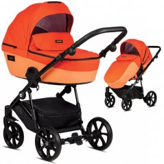 066 Essential Coral