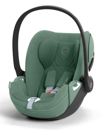 PLUS Leaf Green