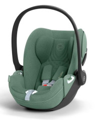 PLUS Leaf Green
