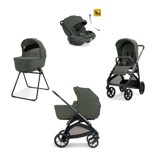 Ivy Green - Litio Black