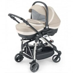 31 CAM ELEGANT FAMILY 376