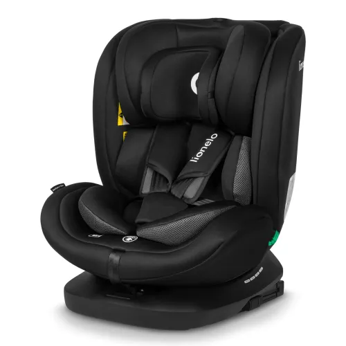 Black Carbon