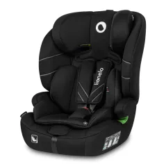 Black Carbon