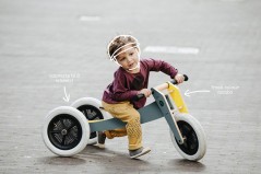  WishBone Bike Original  Grey