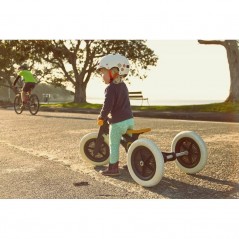 WishBone Bike Recycled