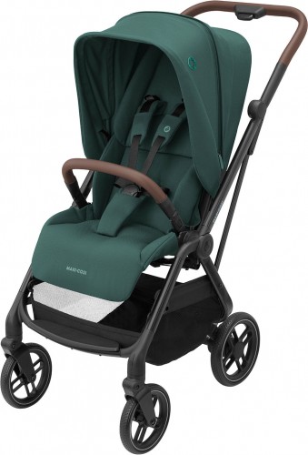 Essential Green