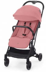 Dhalia Pink