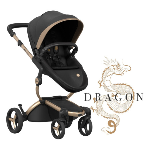 ALL IN ONE DRAGON