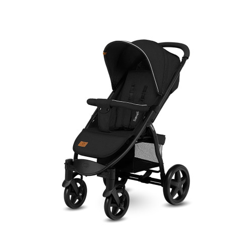Black Carbon