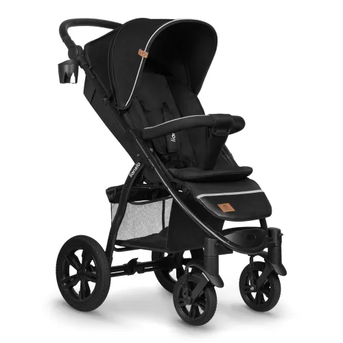 Black Carbon