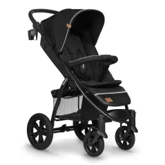 Black Carbon
