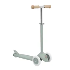  Banwood Eco Scooter