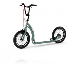 Silver Green