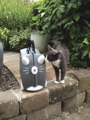 trunki_benny-cat-b