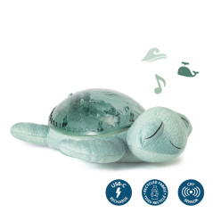 ͳ   Cloud b ECO Tranquil Turtle
