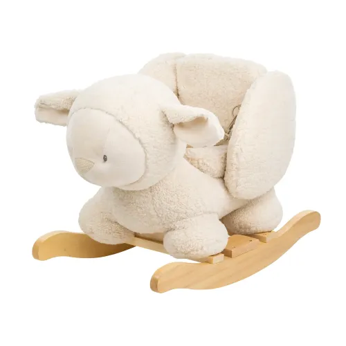  Teddy