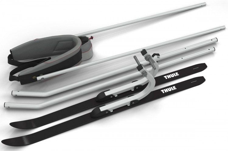 Thule Chariot